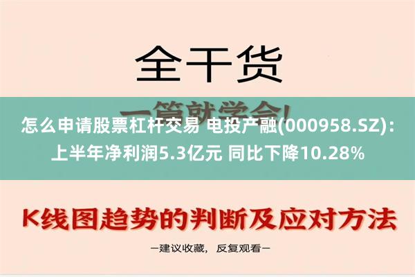 怎么申请股票杠杆交易 电投产融(000958.SZ)：上半年净利润5.3亿元 同比下降10.28%