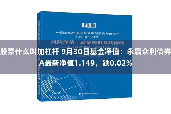 股票什么叫加杠杆 9月30日基金净值：永赢众利债券A最新净值1.149，跌0.02%