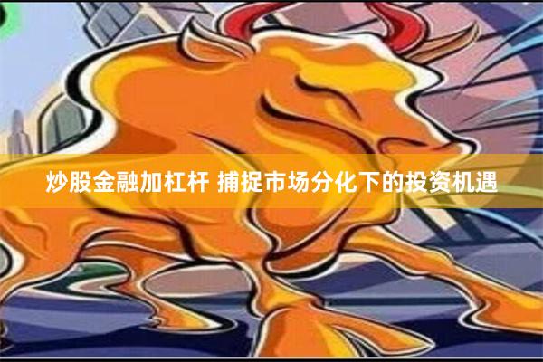 炒股金融加杠杆 捕捉市场分化下的投资机遇