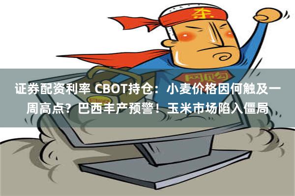 证券配资利率 CBOT持仓：小麦价格因何触及一周高点？巴西丰产预警！玉米市场陷入僵局